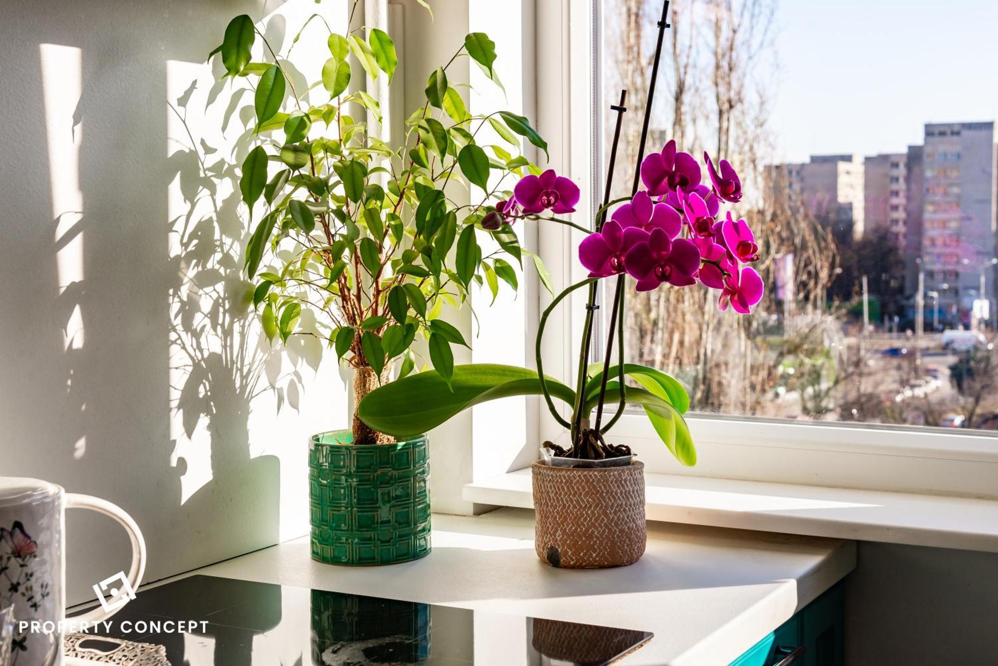 Blissful Retreat Apartment Βουκουρέστι Εξωτερικό φωτογραφία