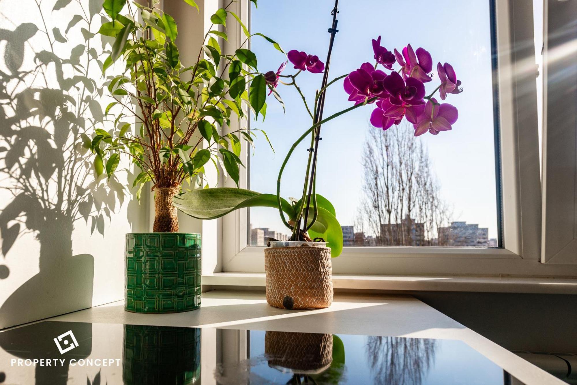 Blissful Retreat Apartment Βουκουρέστι Εξωτερικό φωτογραφία