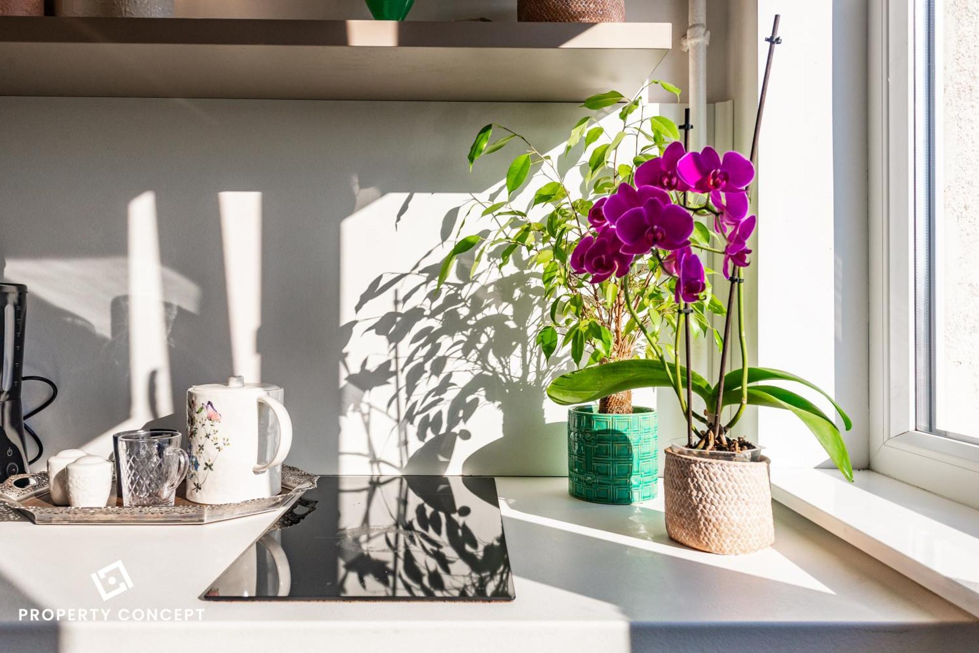 Blissful Retreat Apartment Βουκουρέστι Εξωτερικό φωτογραφία